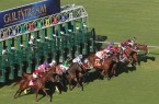 GulfstreamPark1023